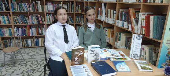 ������� ������ ������� ����